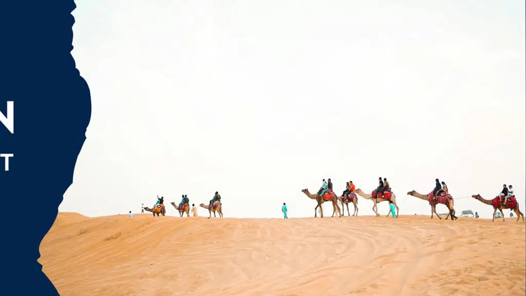 rana tour and travel