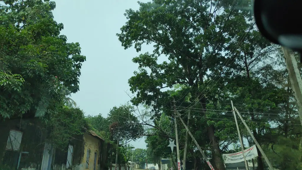 Chembil Tourist Home