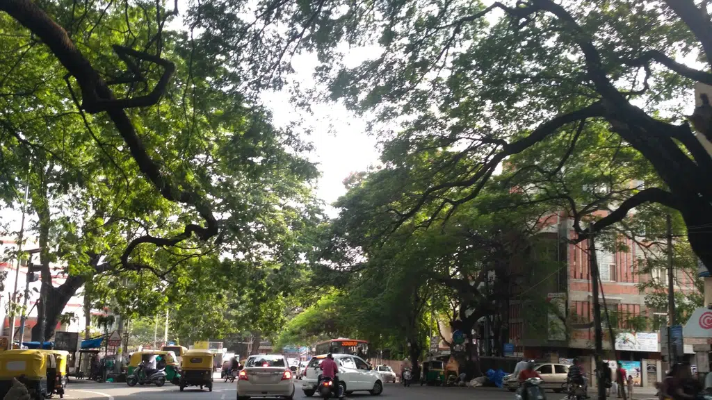 Indira Gandhi Institute Of Aeronautics