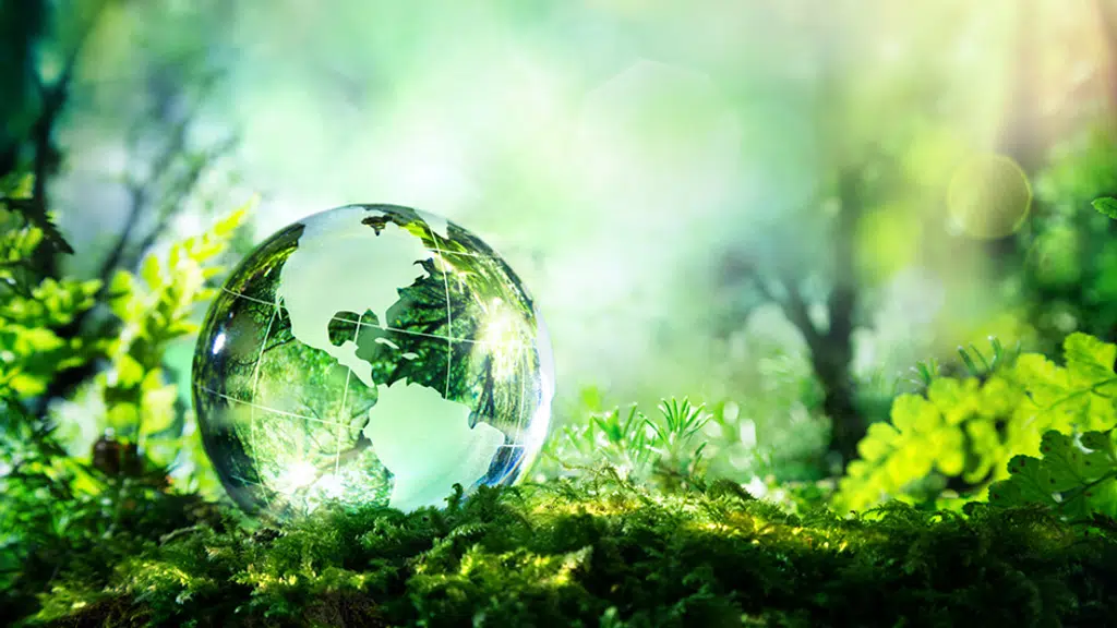 GreenSignature