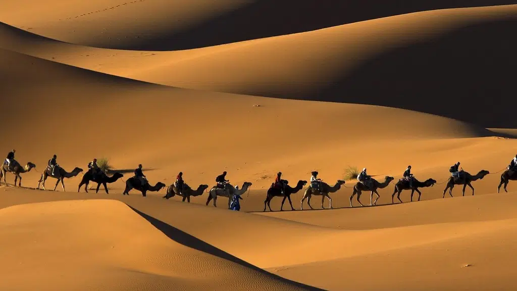 Muqaddas Tours & Travels