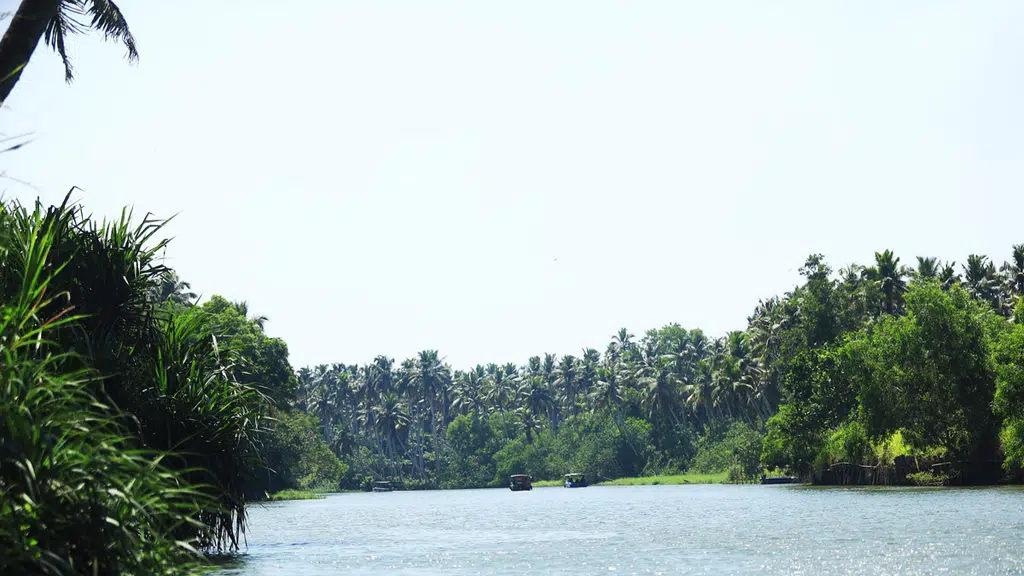 PoovarTourism
