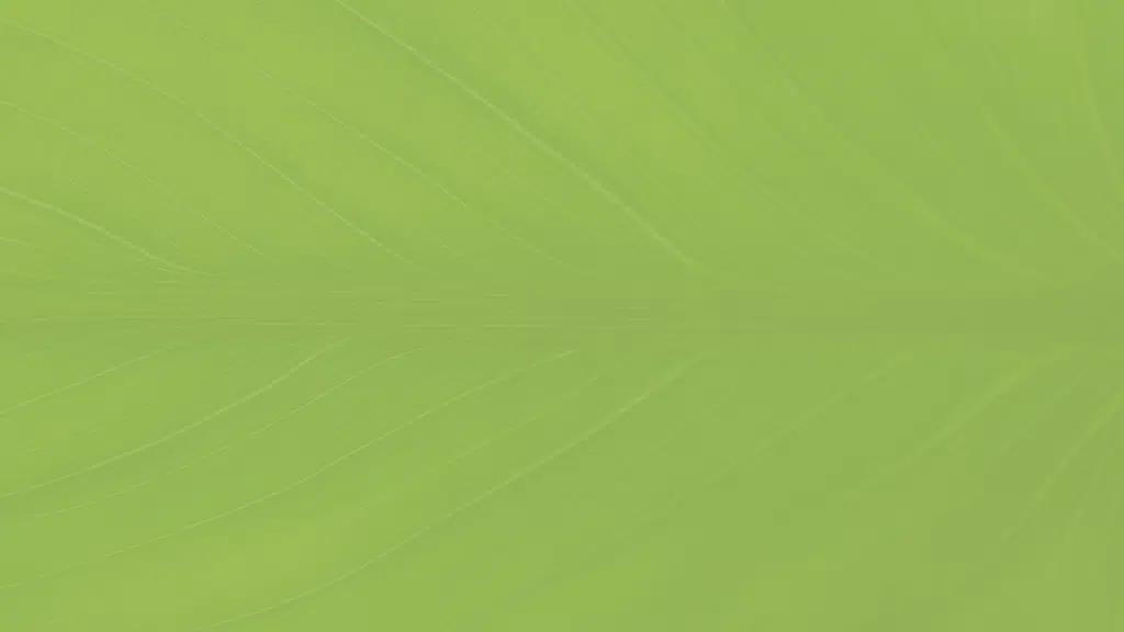 Advait Ayurveda Wellness & Panchakarm Center