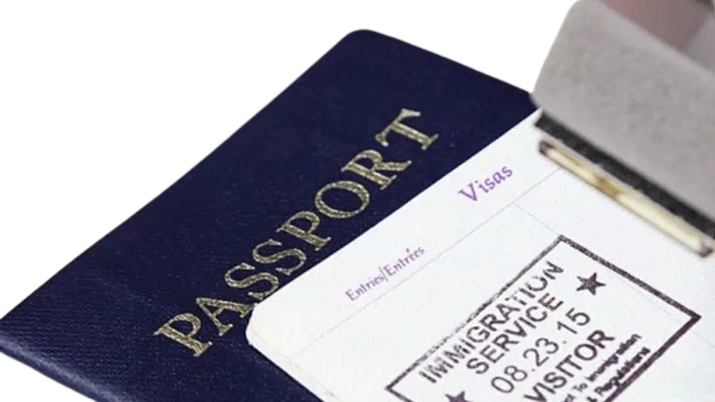 Dreamfly Travel And Tours