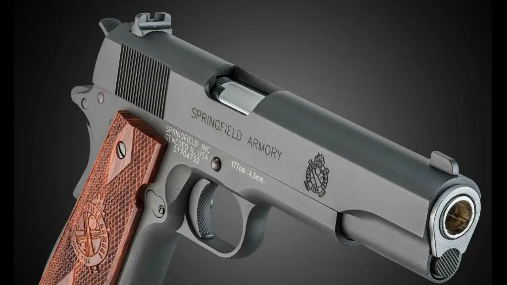 Delhi Air Guns
