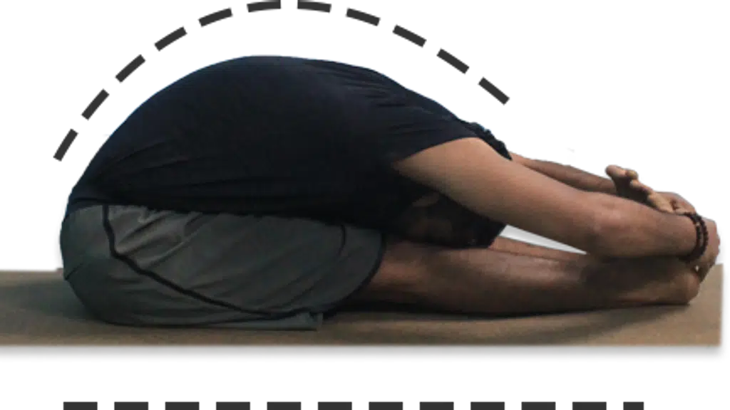 Vinod Dulal Yoga Institute