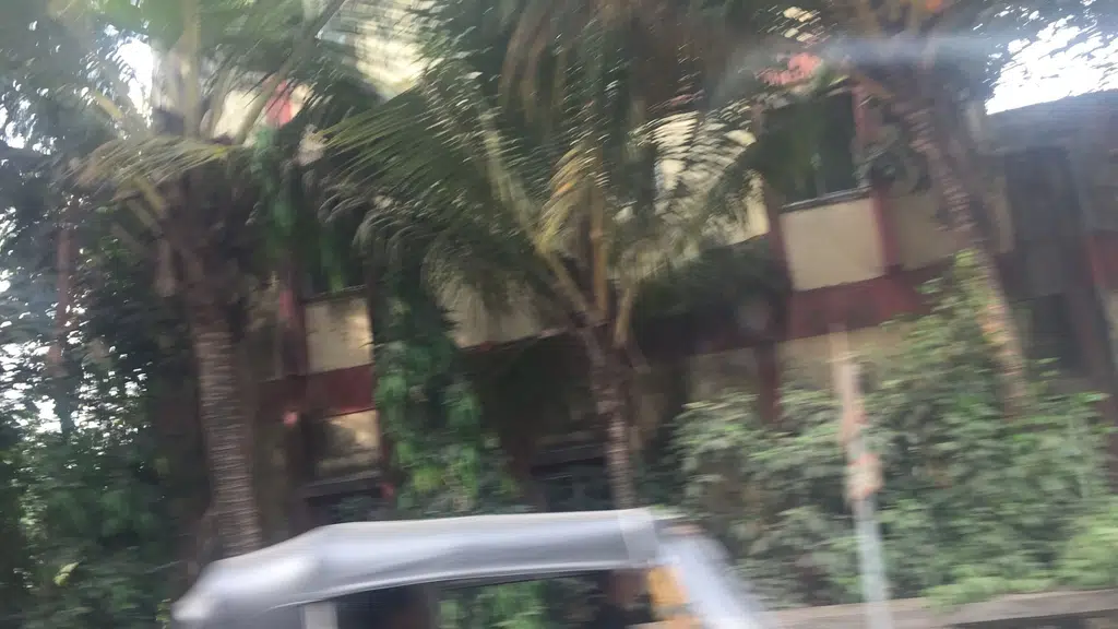 Tulas Ayurvedic Hospital