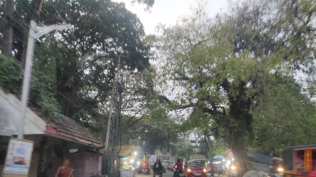 Janamythry Police Station-Palluruthy