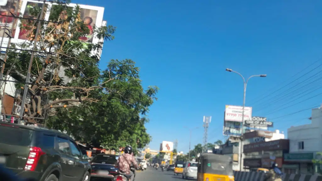Manik Hyderabad Biriyani