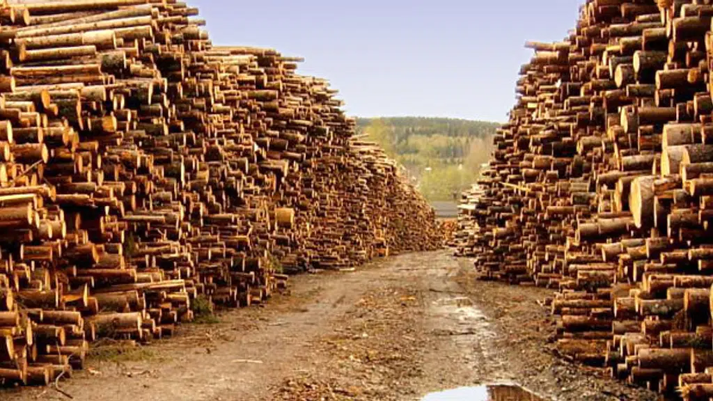 Sri Siddeswara Timbers