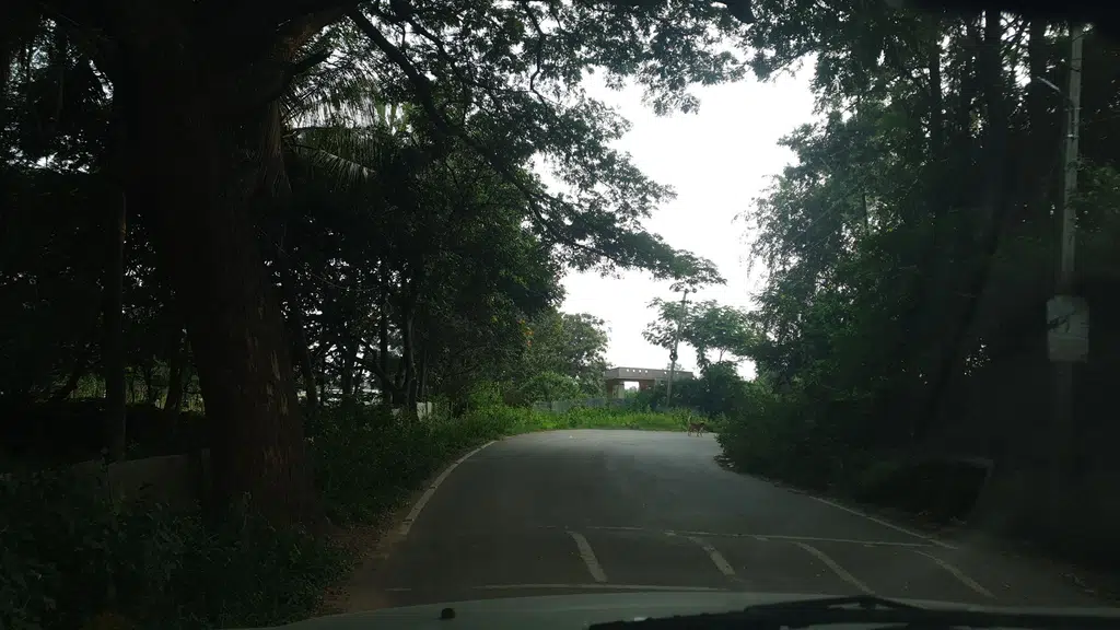 Karnataka Bank - Doddagubbi GP Branch