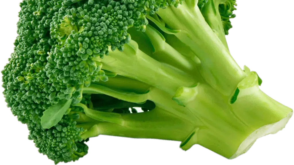 Nutri4Verve
