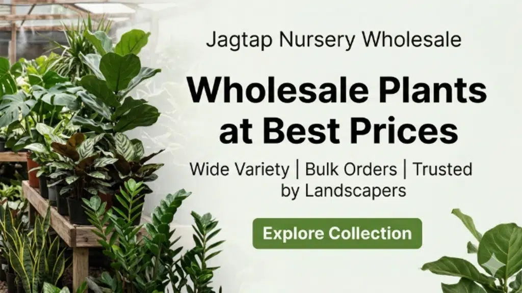 Jagtap Nurserys Garden Centre