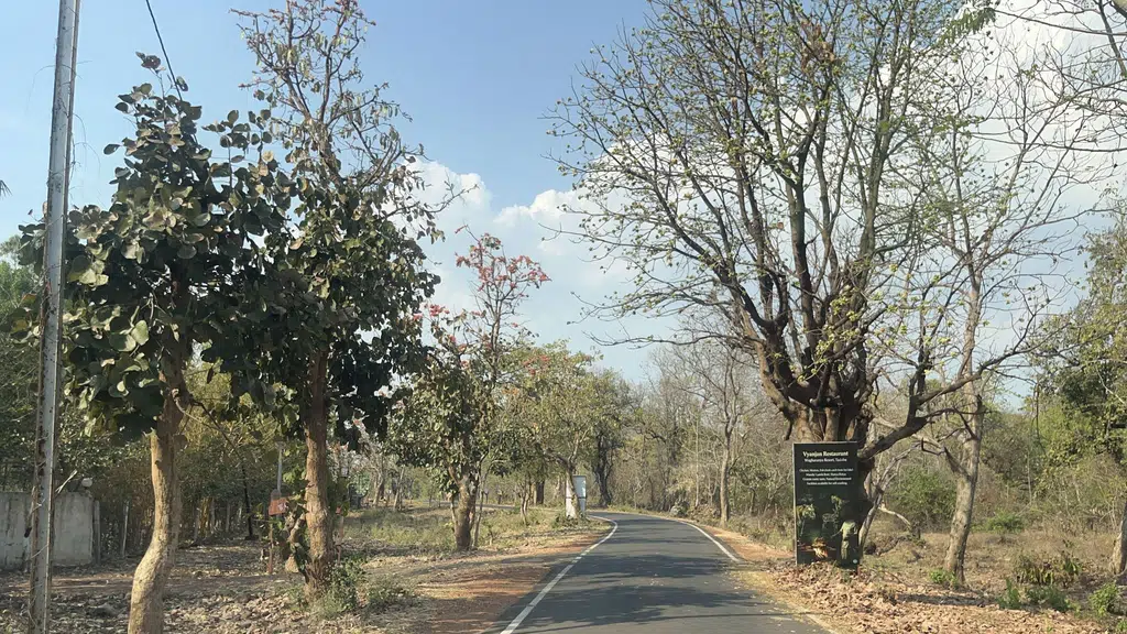 Tadoba Safari Stay Nature's Sprout