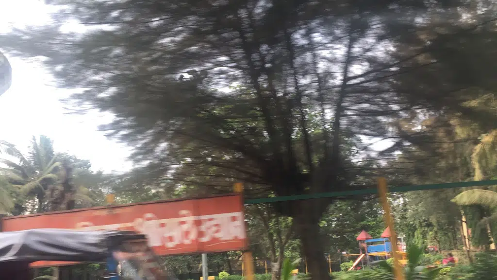 La Pino'z Airoli