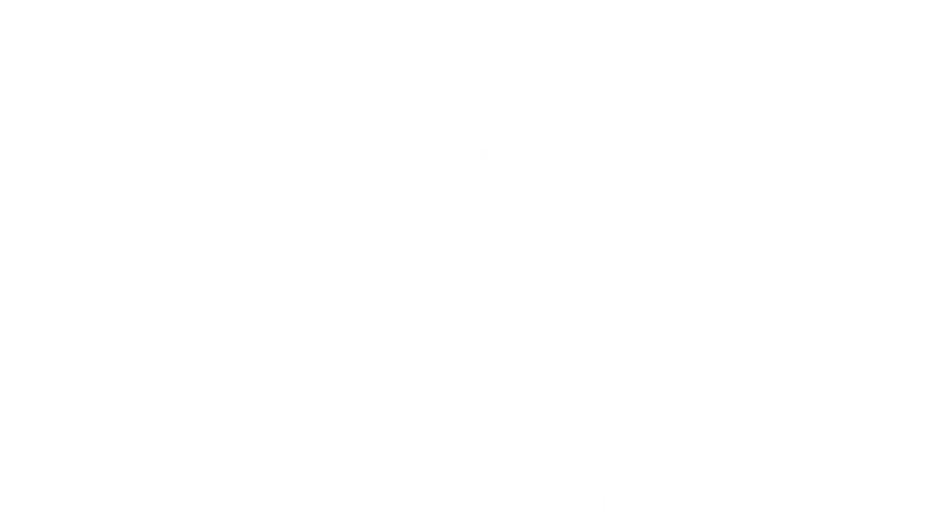 Narayan Technologies