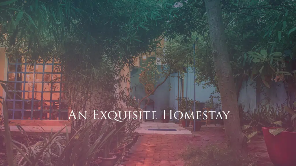 The Coral Tree Homestay