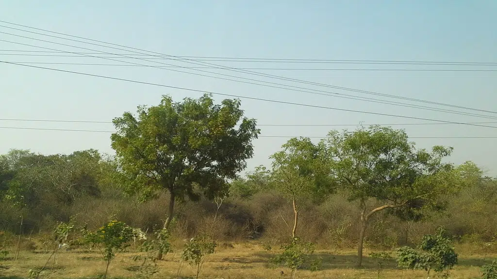 Inch By Inch India