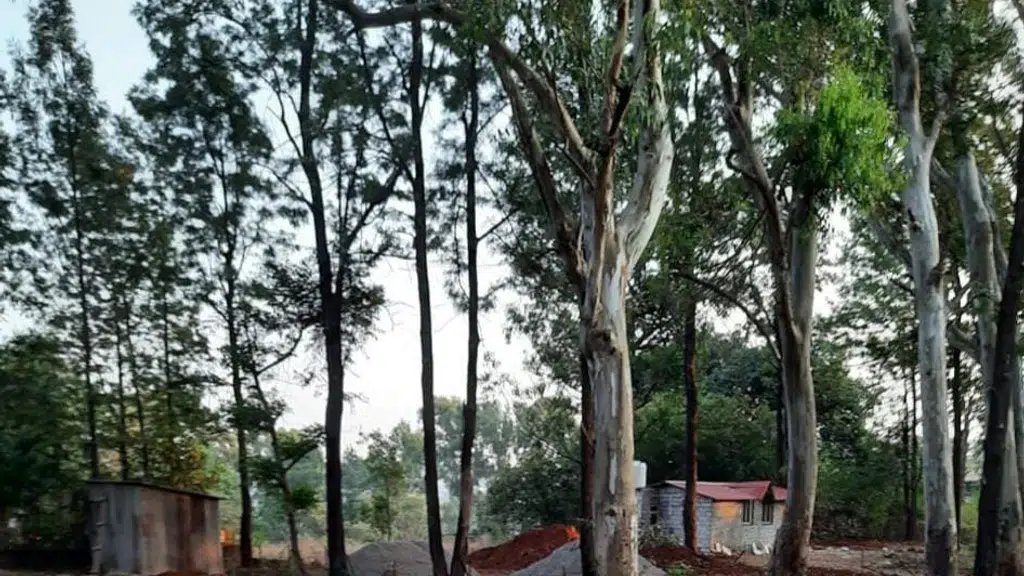 Sai Estate and Realty