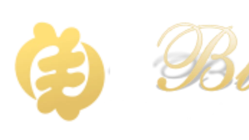Blessed HealthCare Kulgam