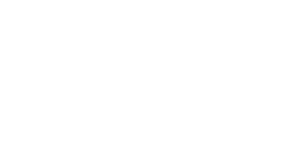 MSN Agro Seeds Pvt. Ltd.