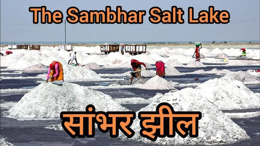 Sambhar lake