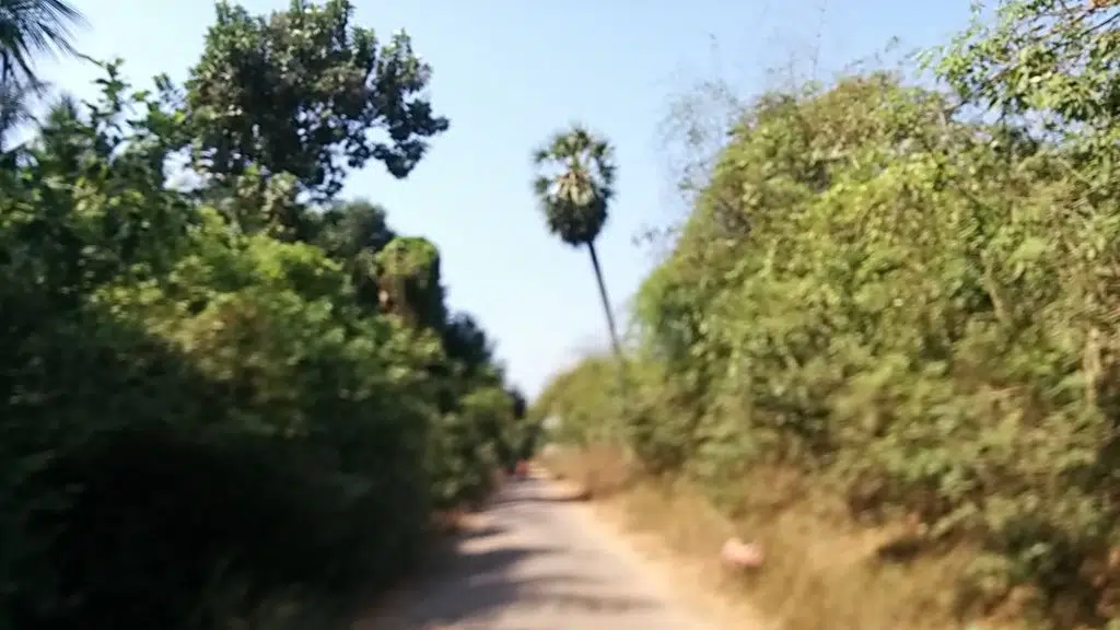 Aashikha Farm House