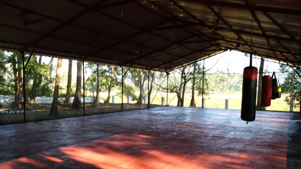 Warrior Training and Fitness