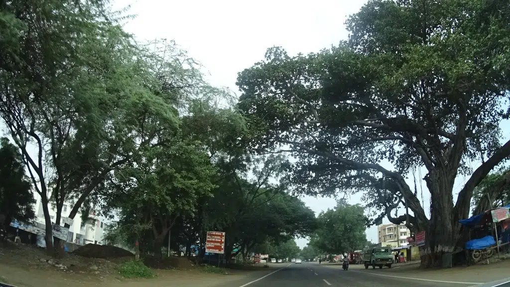 Bharat Career Academy