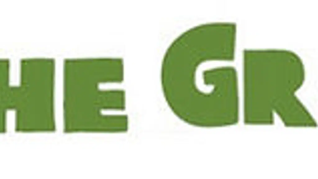 The Green Turtle Preschool, Daycare and Activities Center
