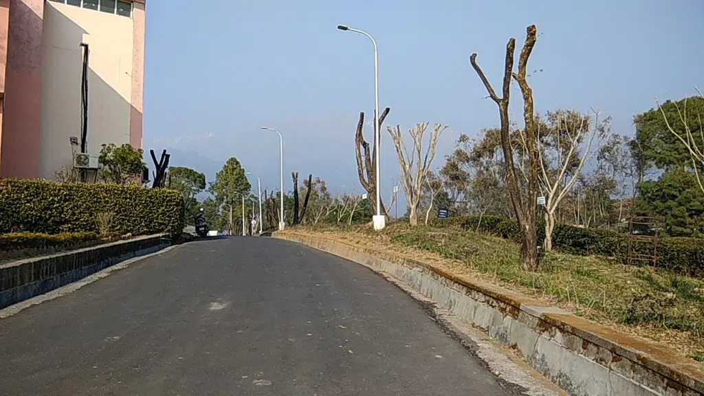 csir-ihbt, Institute Of Himalayan Bioresource Technology