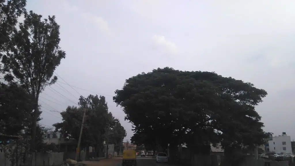Sree Nanjundeshwara Kalyana Mantapa