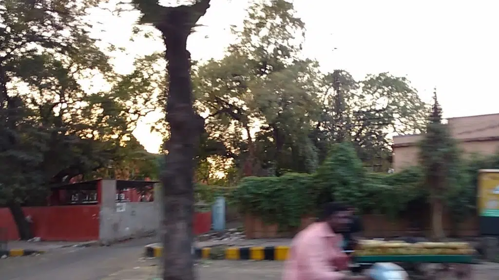 Love and Care India Trust