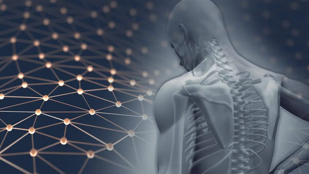 Dr. Harish Talreja - Joint Replacement Surgeon | Arthroscopy Surgeon | Orthopedic Surgeon