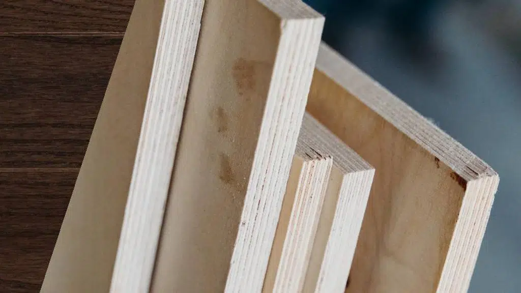 Todi Plywood