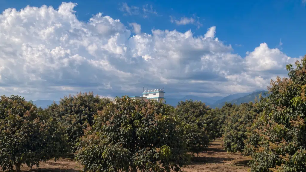 Mahalaxmi Farm