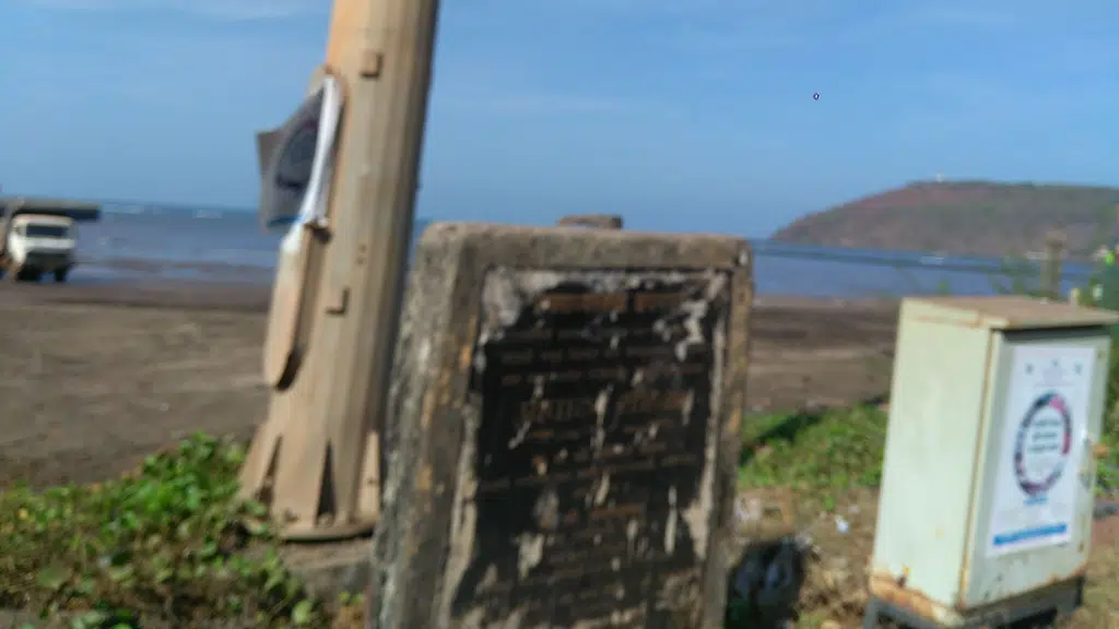 Yummerica Fries