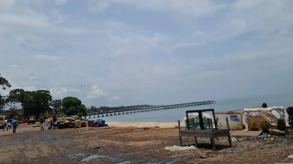 Thalassery Wholesale Fish Market
