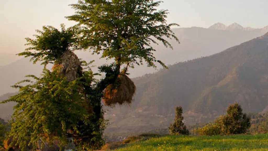 Bir, Himachal Pradesh, India
