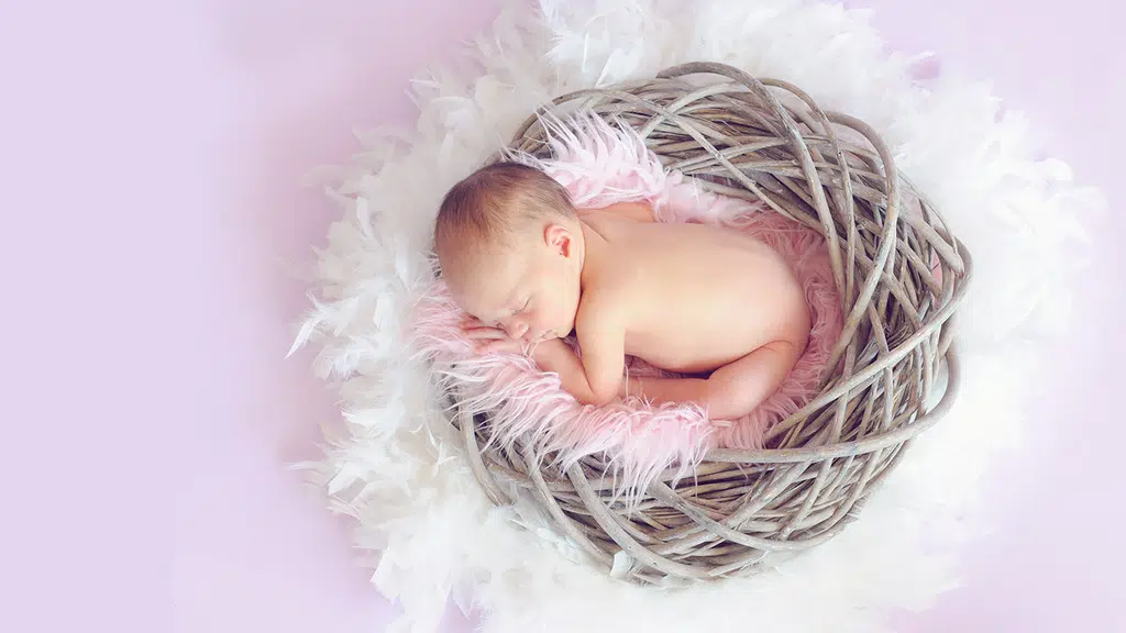Bliss Infertility & Gynae Solutions
