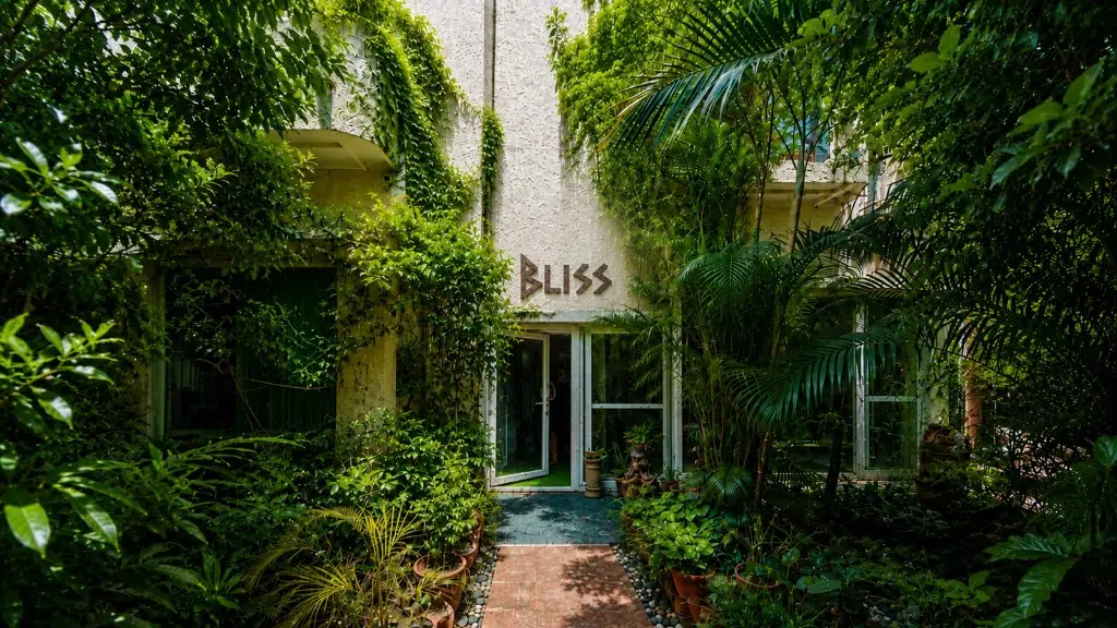 Dr. Bali's Bliss