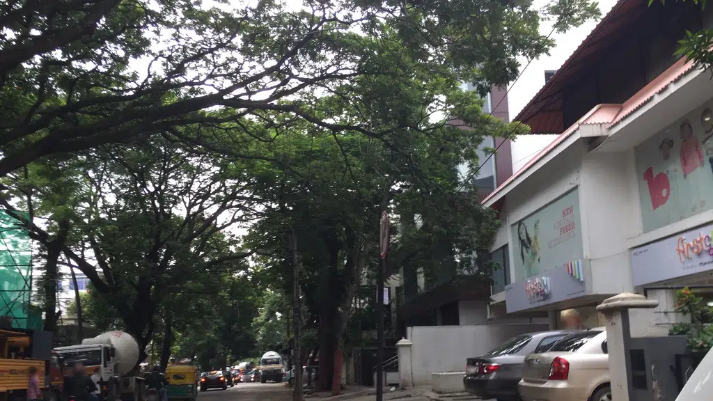 Thai House Brigade Road