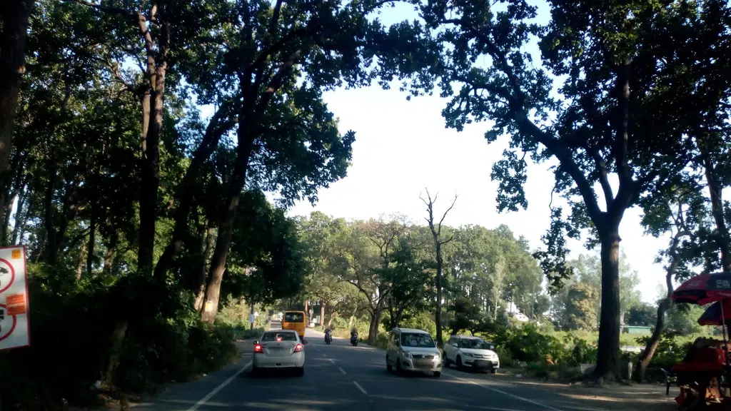 Shree Balaji Properties, Jhajra, Dehradun