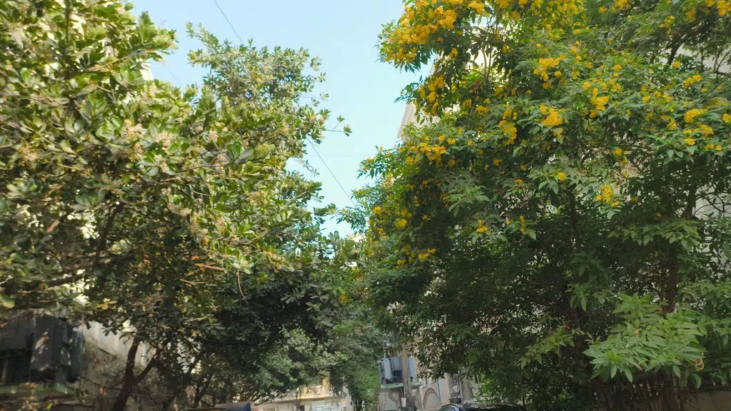 Sanjana Residency