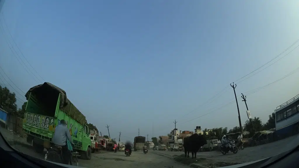 Alok trading company