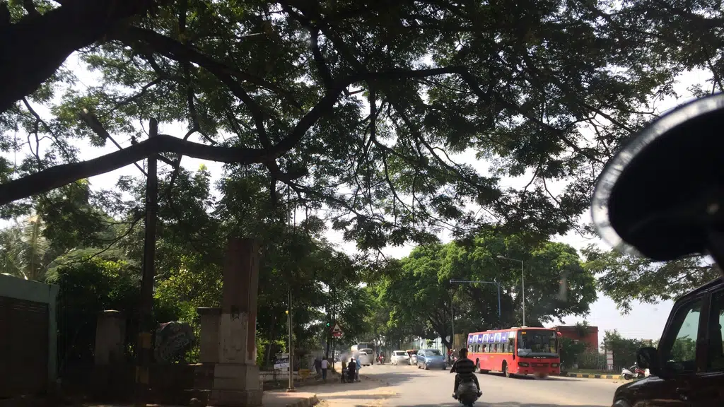 Mahabodhi Aarogyaseva Kendra