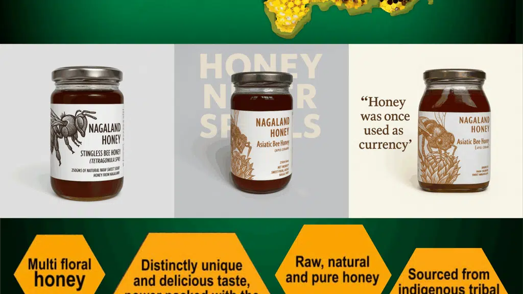 Nagaland Beekeeping and Honey Mission