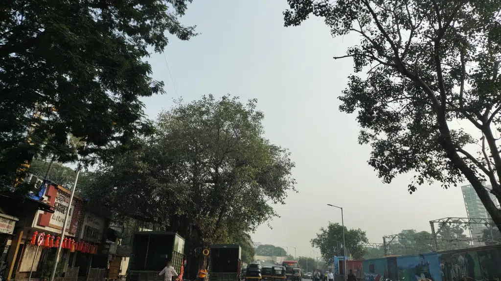 Ayurom Ayurvedic Clinic