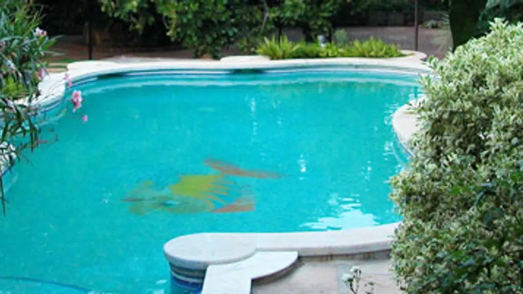 Olympia Pools