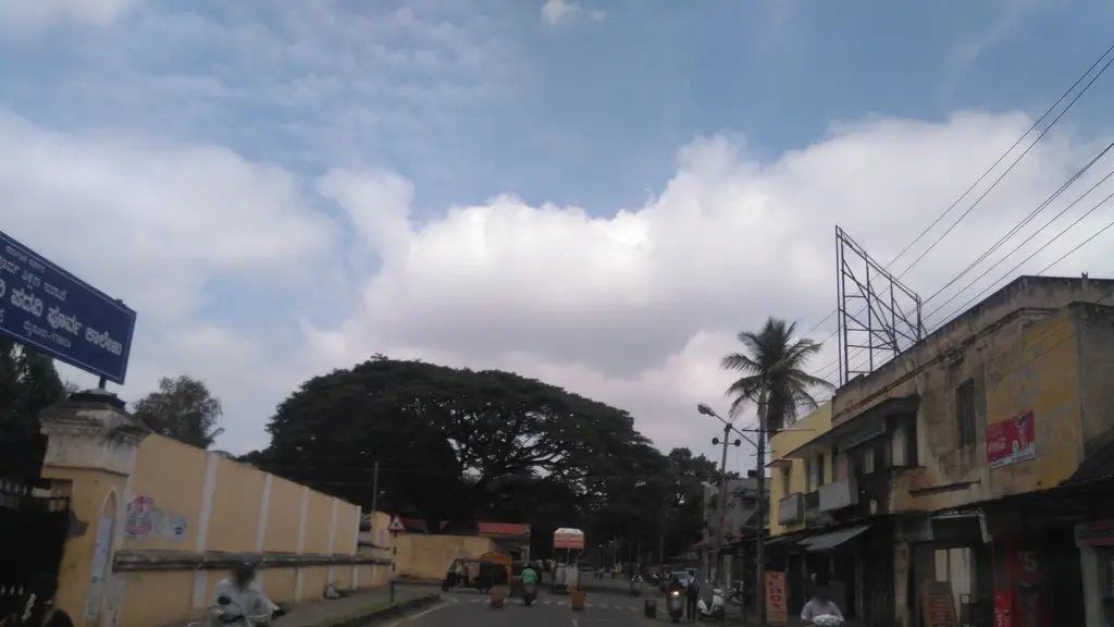 Sakthi Yoga and Nature Cure Centre